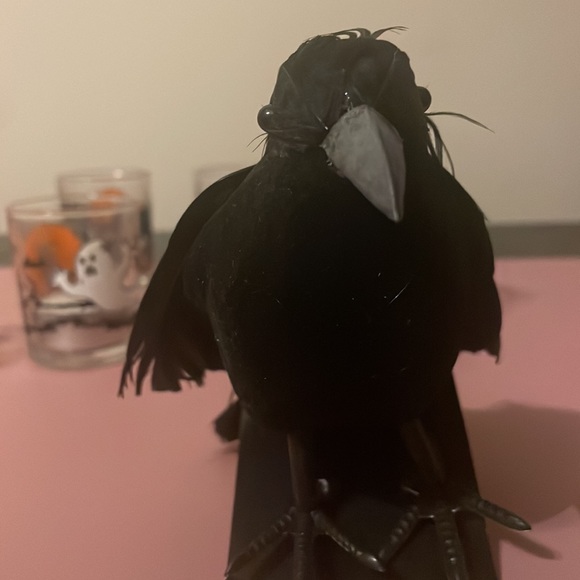 Halloween Mix of decor and costume! All new - no item worn/used before. - Picture 7 of 15